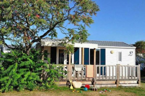 Camping 4 étoiles - Piscine - ccaffeh